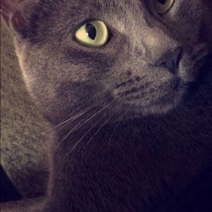 Meet your Posher, Libby